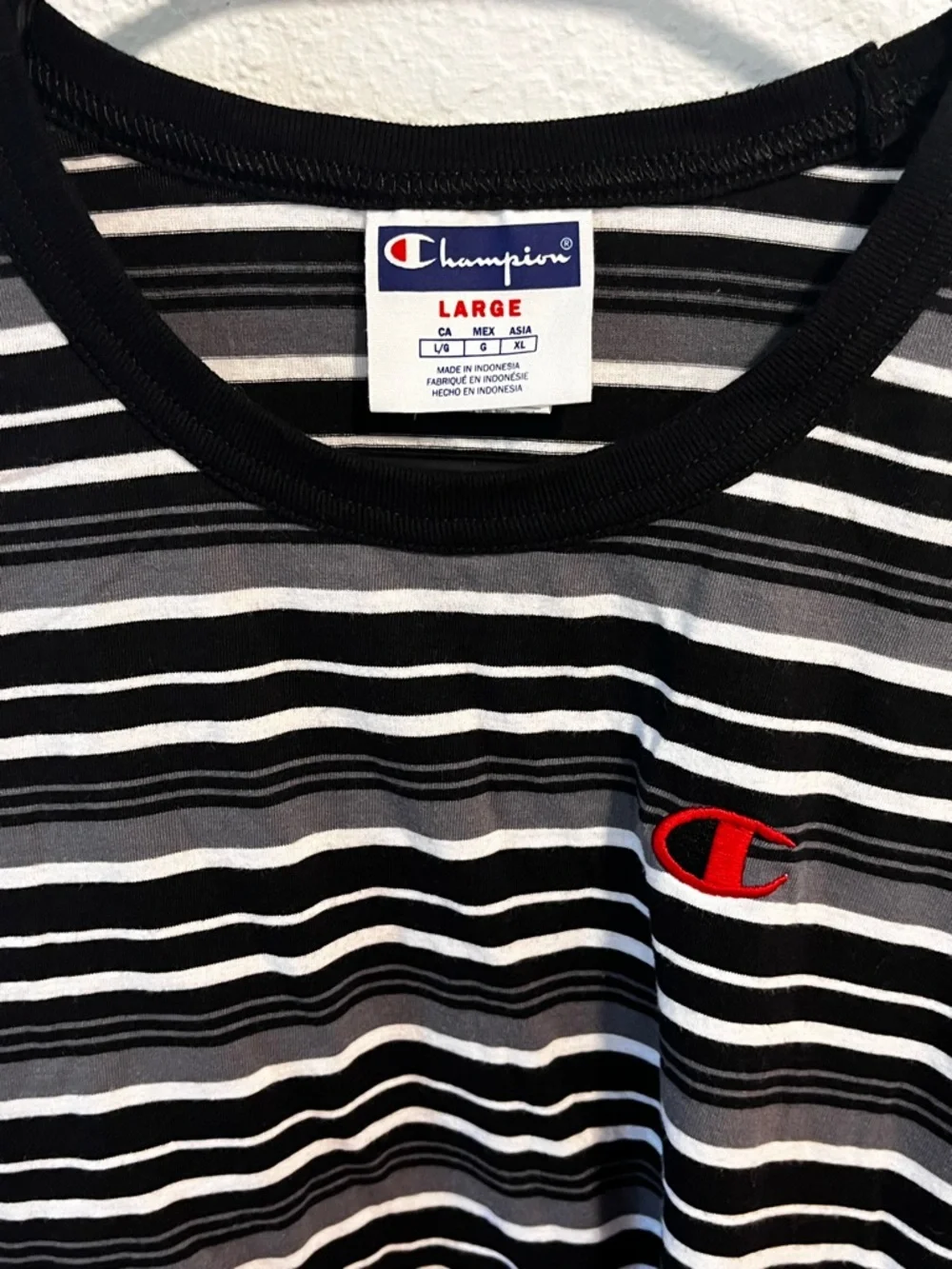 Champion Striped Crewneck Tee in Black, White & Gray with Red Logo - Picture 1 of 5